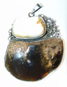 2VI2008 027 (1)